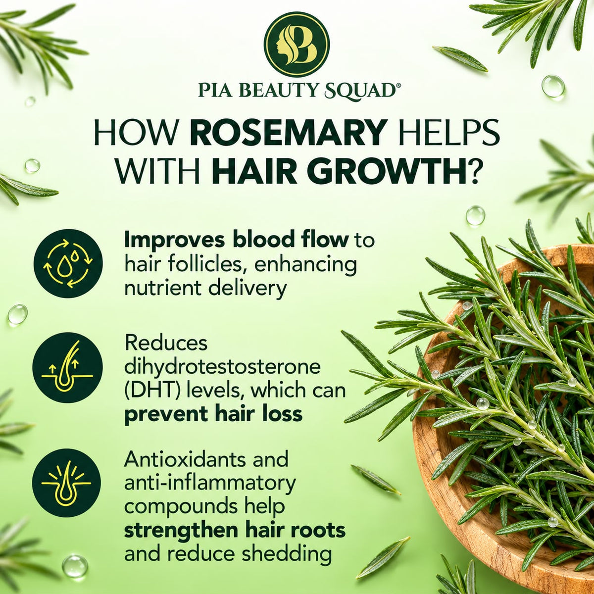 Rosemary leaves  benefits for hair in oil and speay 