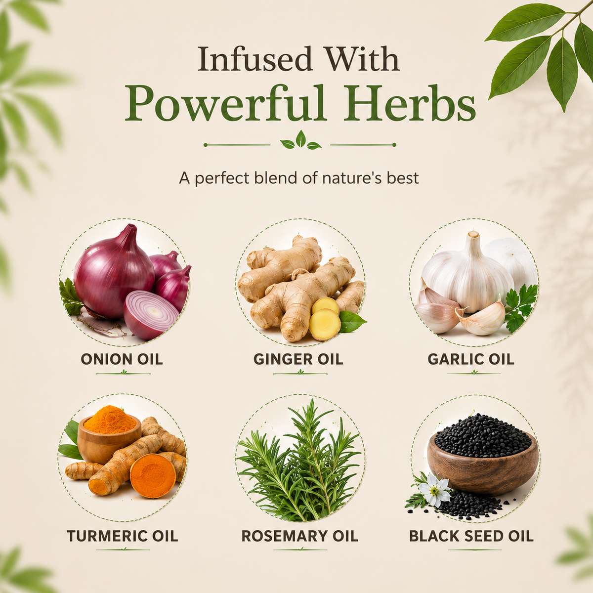 Pia Beauty Squad onion hair oil ingredients 